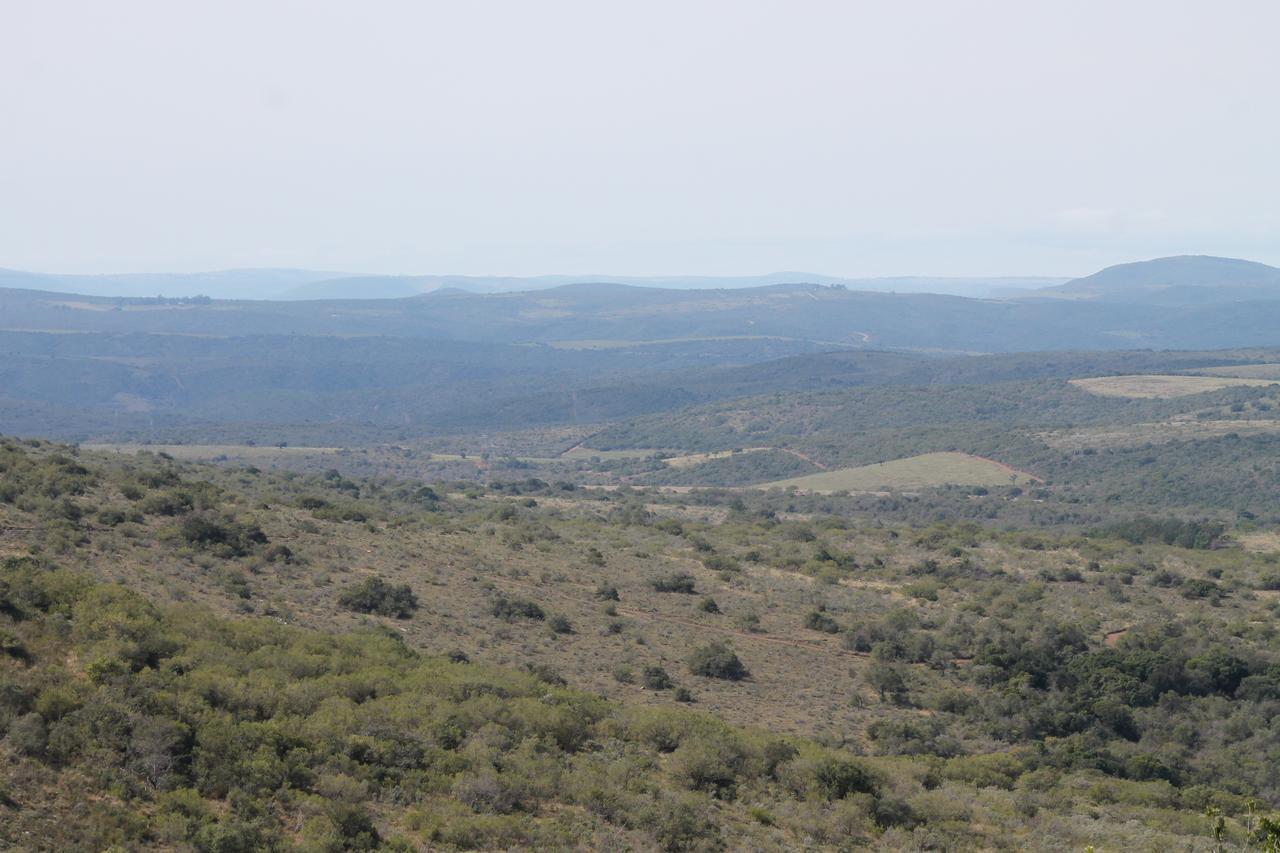 Addo Elephant Lodge & Safaris Kirkwood Exterior photo