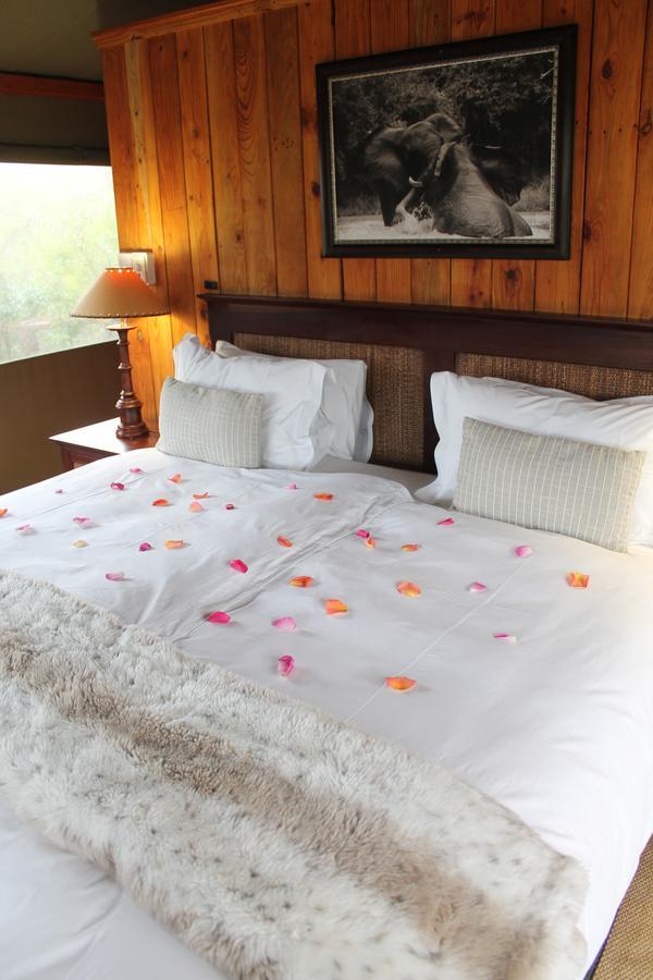 Addo Elephant Lodge & Safaris Kirkwood Exterior photo