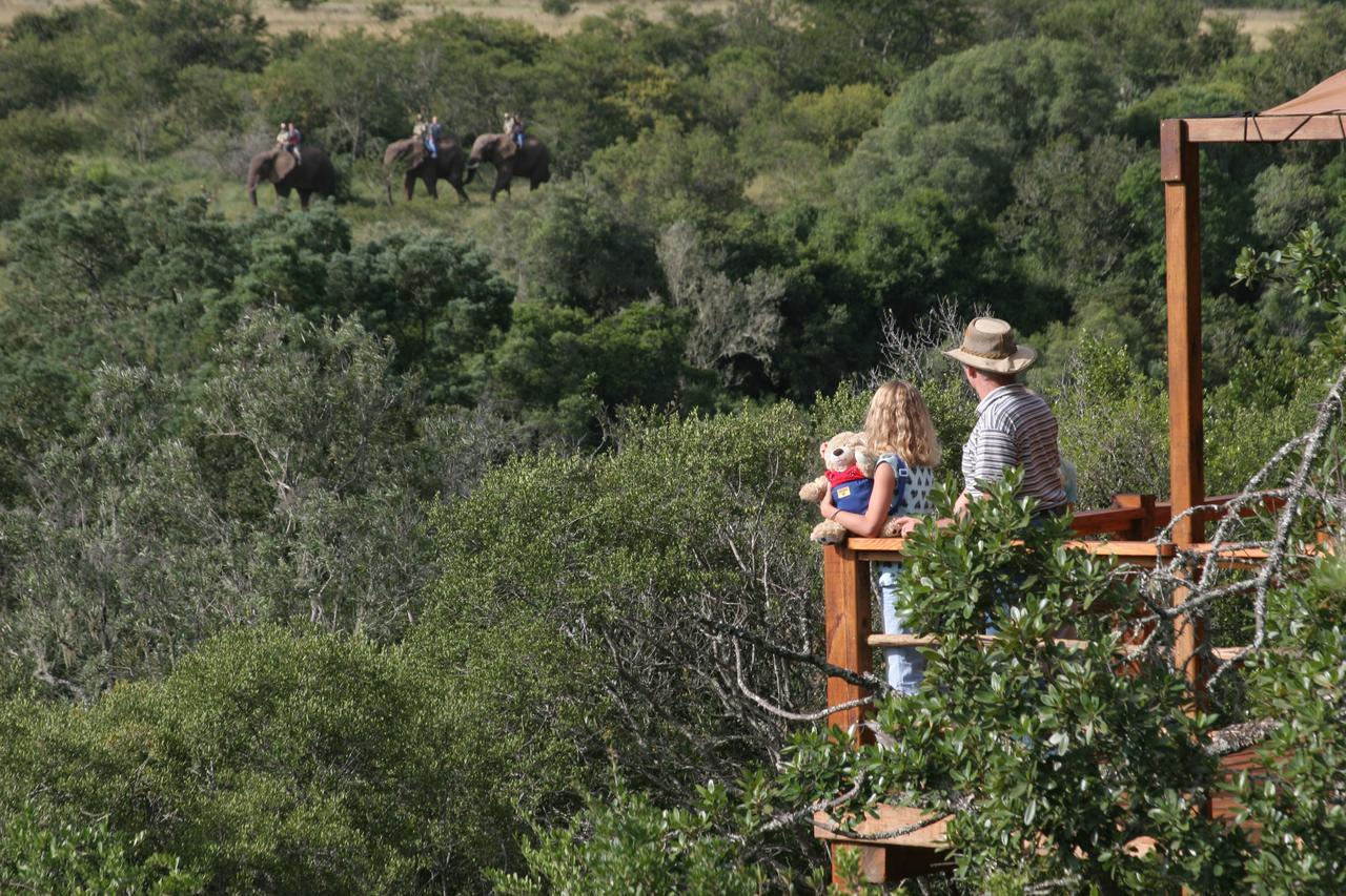 Addo Elephant Lodge & Safaris Kirkwood Exterior photo